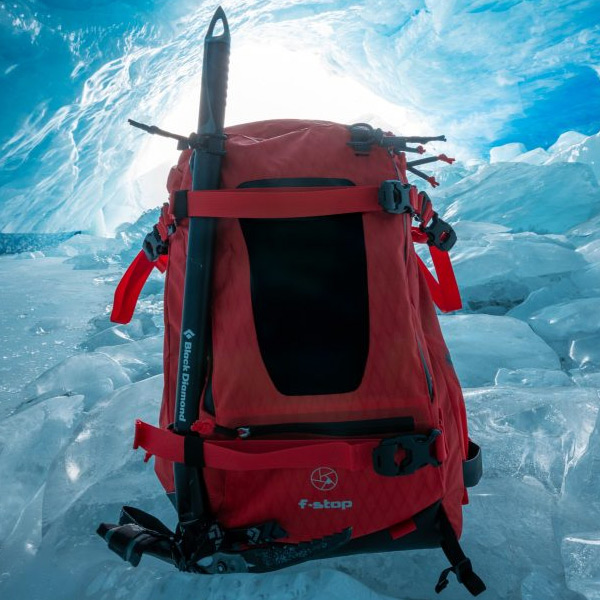 Girl with a laptop Girl with a laptop